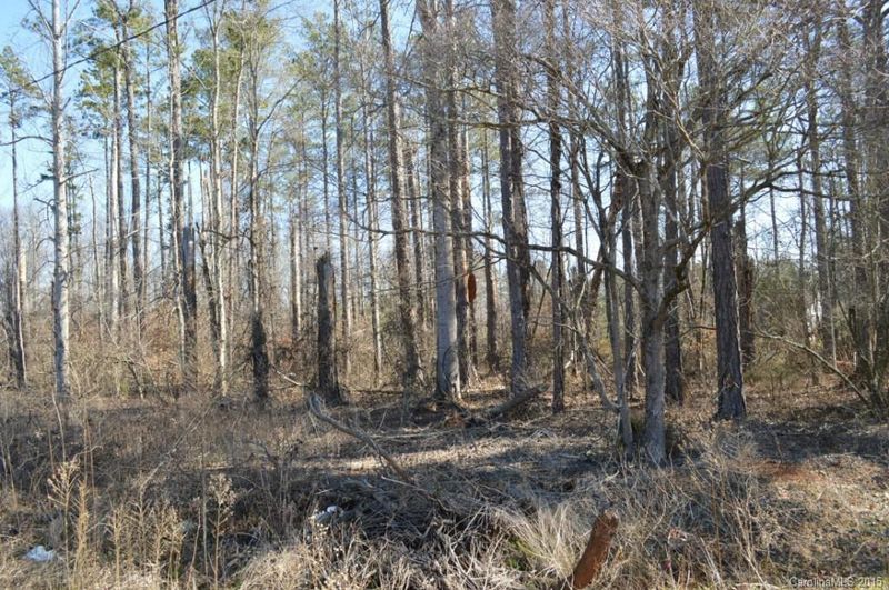 38 Rolling Rd #38, Lincolnton, NC 28092