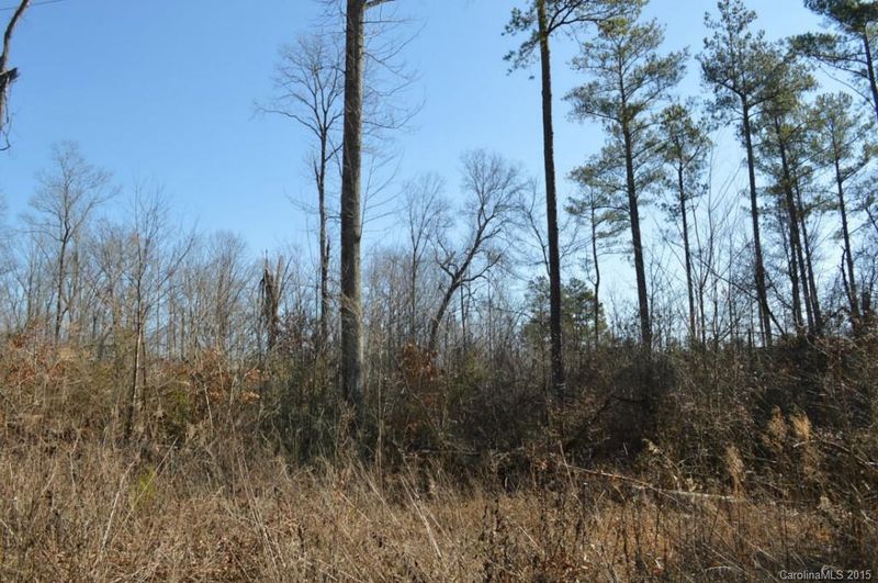 40 Rolling Rd #40, Lincolnton, NC 28092