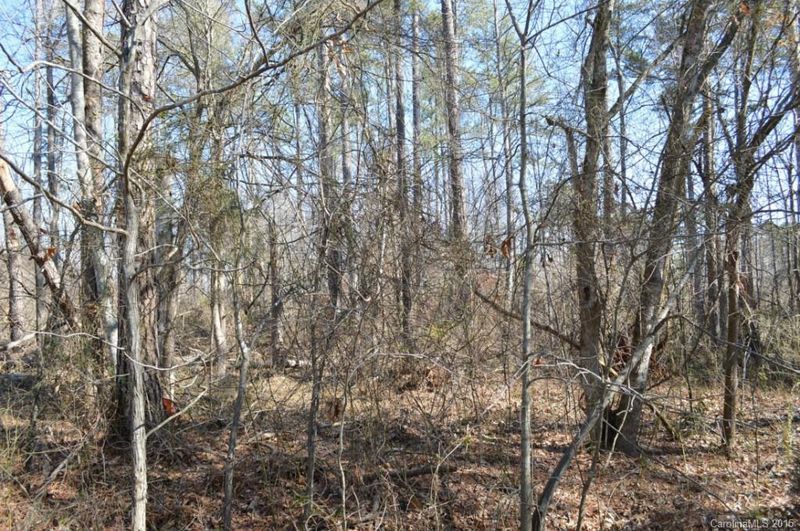 40 Rolling Rd #40, Lincolnton, NC 28092