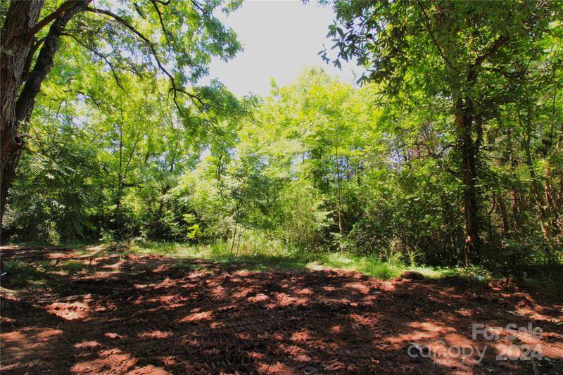 0 Hosea Strong Rd, Chester, SC 29706