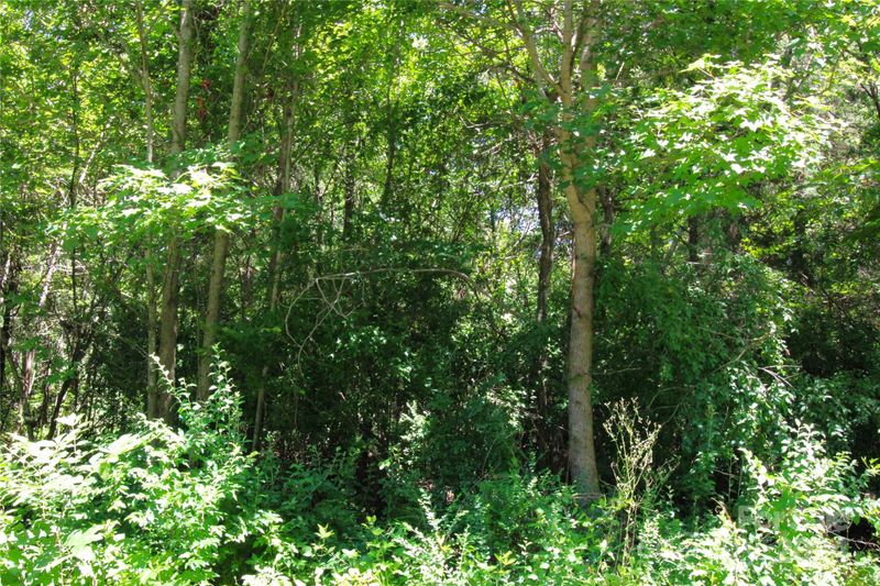 0 Hosea Strong Rd, Chester, SC 29706