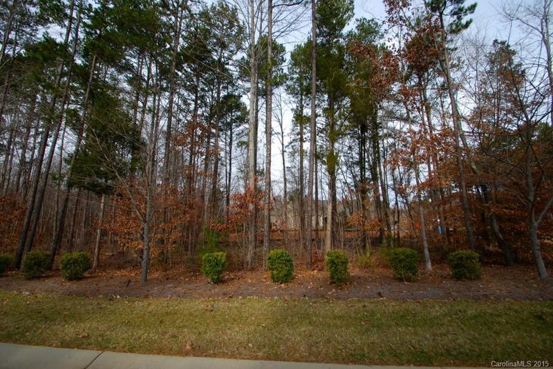 1101 Anniston Pl #34, Indian Trail, NC 28079
