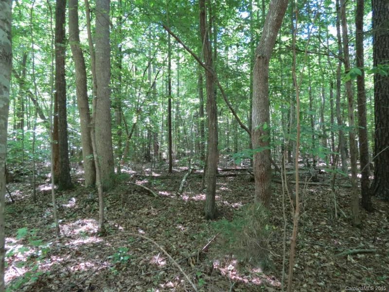 2 AC Oakhill Rd, Chester, SC 29706