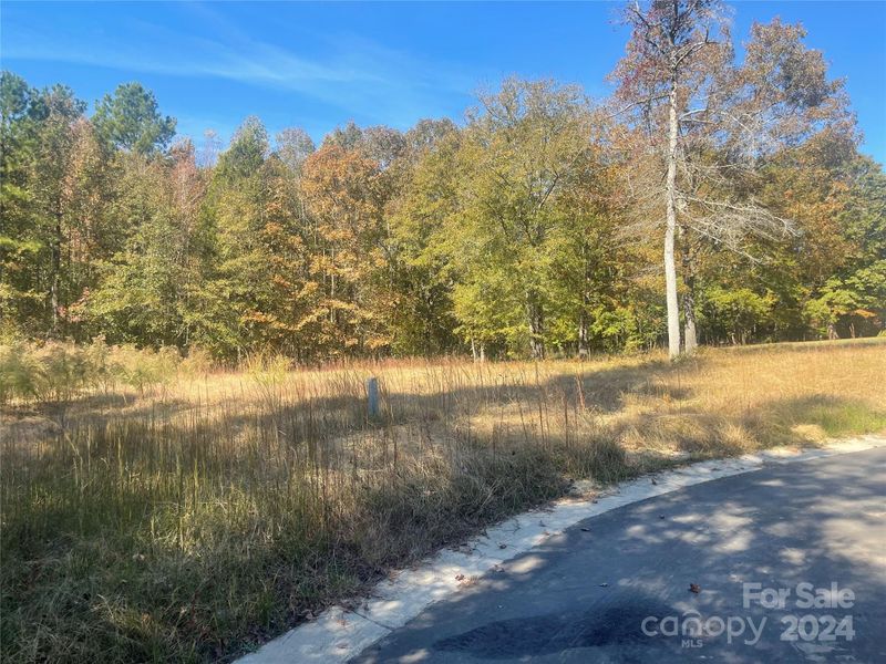 2920 Drew Dr #36, Lancaster, SC 29720
