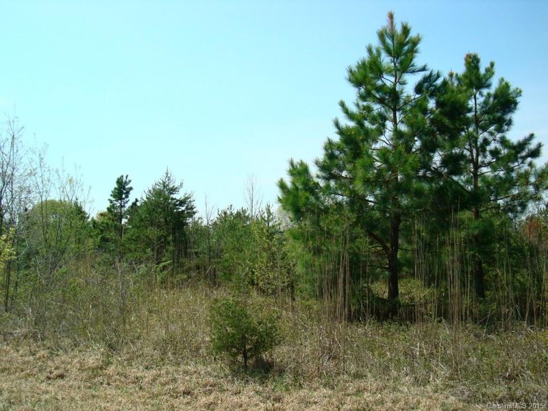 00 Lee Bess Rd, Cherryville, NC 28012