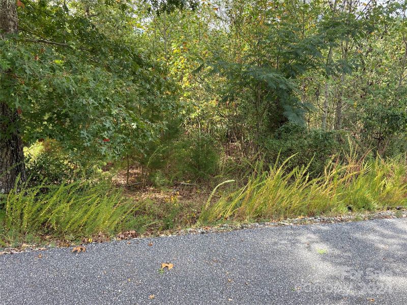 0 Willow Top Ln #311, Lake Lure, NC 28746