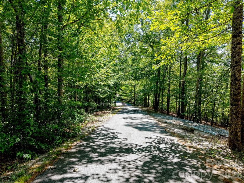 99999 Black Bear Ridge Trl, Zirconia, NC 28790
