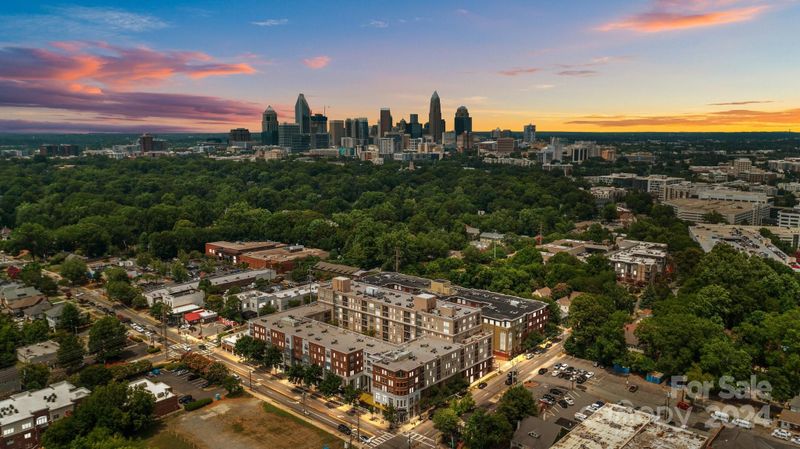 1320 Fillmore Ave #504, Charlotte, NC 28203