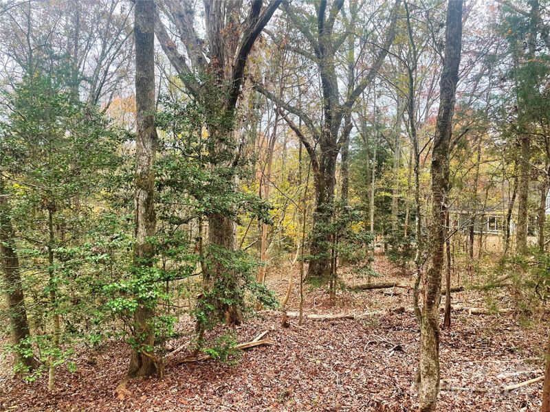 Lot 2 Starnes Rd, Edgemoor, SC 29712