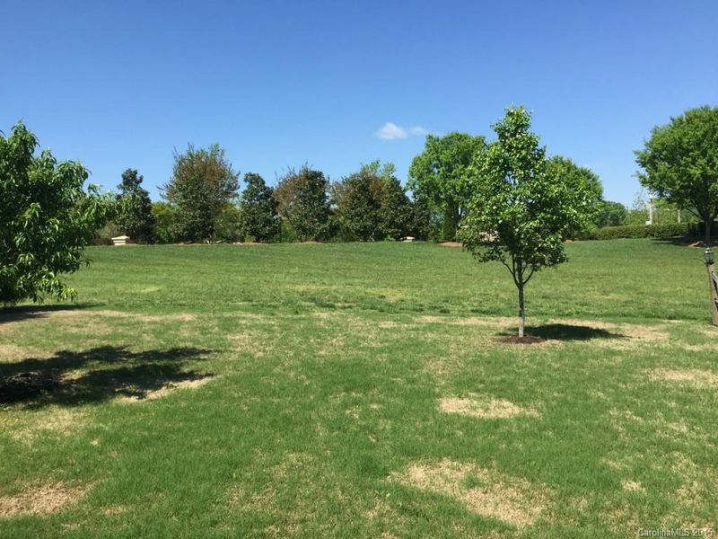 1236 Afternoon Sun Rd, Stallings, NC 28104