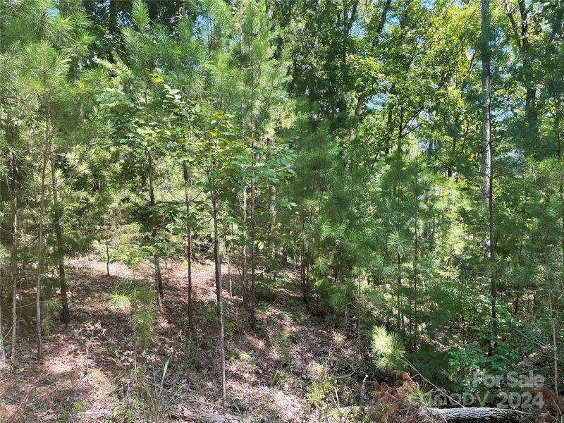 00 Pine Moss Ln, Clover, SC 29710