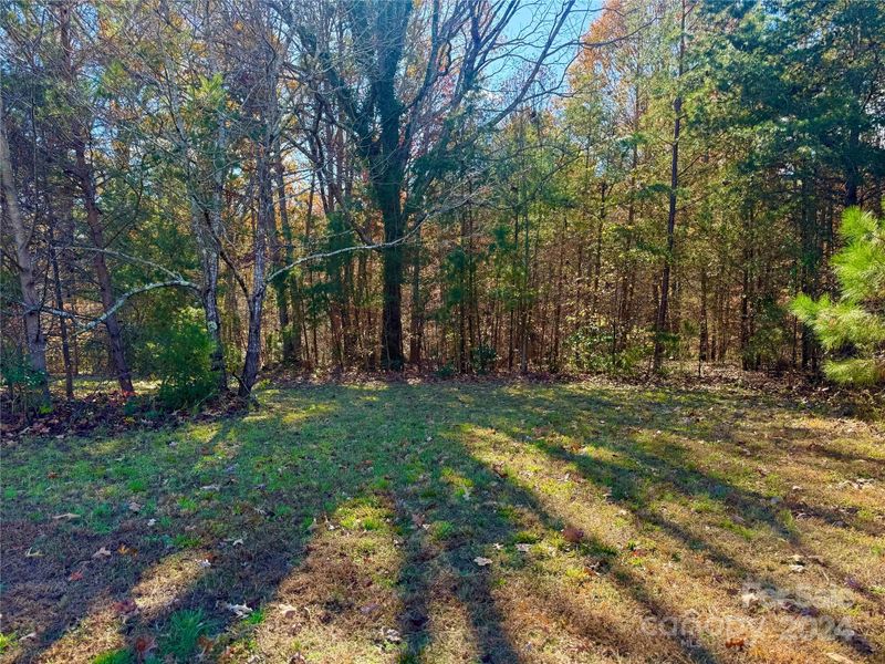 7075 Cobblefield Ln, Denver, NC 28037