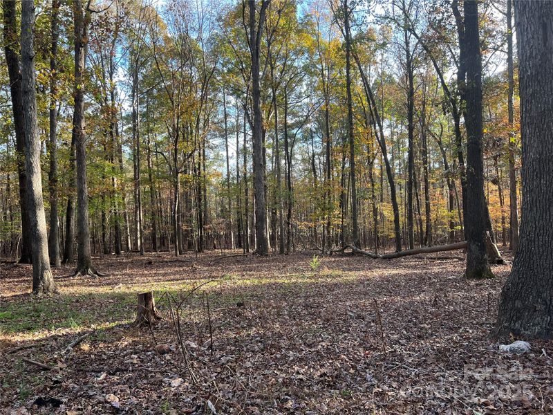 Lot 3 Oak Dr #3, Monroe, NC 28112