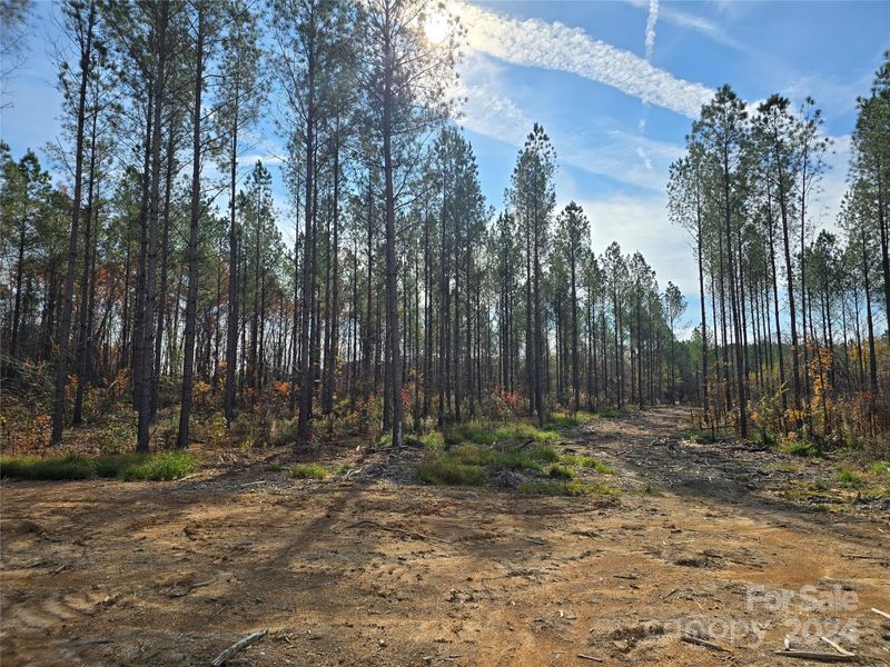 Lot 2 Raggle Rd, Gold Hill, NC 28071