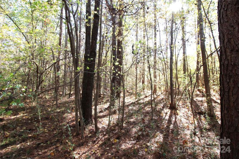 0 Hartness Rd, Clover, SC 29710