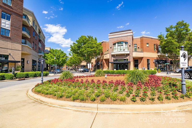 721 Governor Morrison St #425, Charlotte, NC 28211
