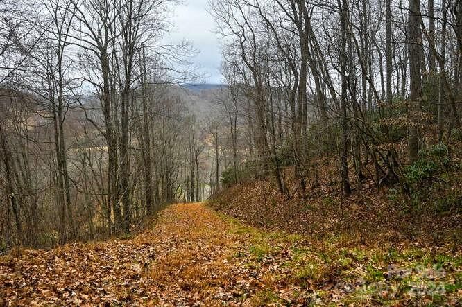 19 Flowing Hills Dr #19, 20, Clyde, NC 28721