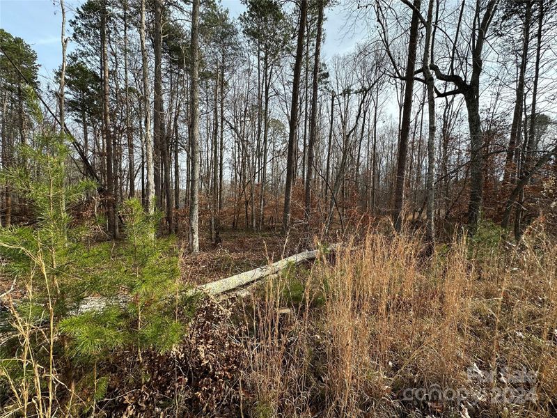 4 Christopher Rd #4, Iron Station, NC 28080