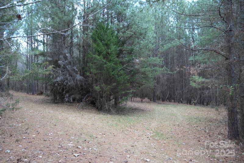 10.09ac Oswalt Amity Rd #2, Troutman, NC 28166