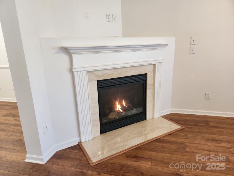 3440 Pickney Bluff St, Fort Mill, SC 29715