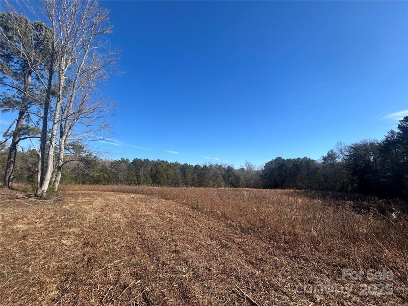 460 Sandifer Rd, York, SC 29745