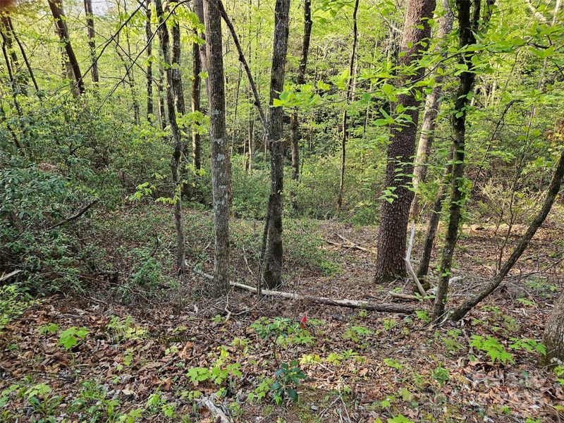 0 Huntington Rd #54, Lake Lure, NC 28746