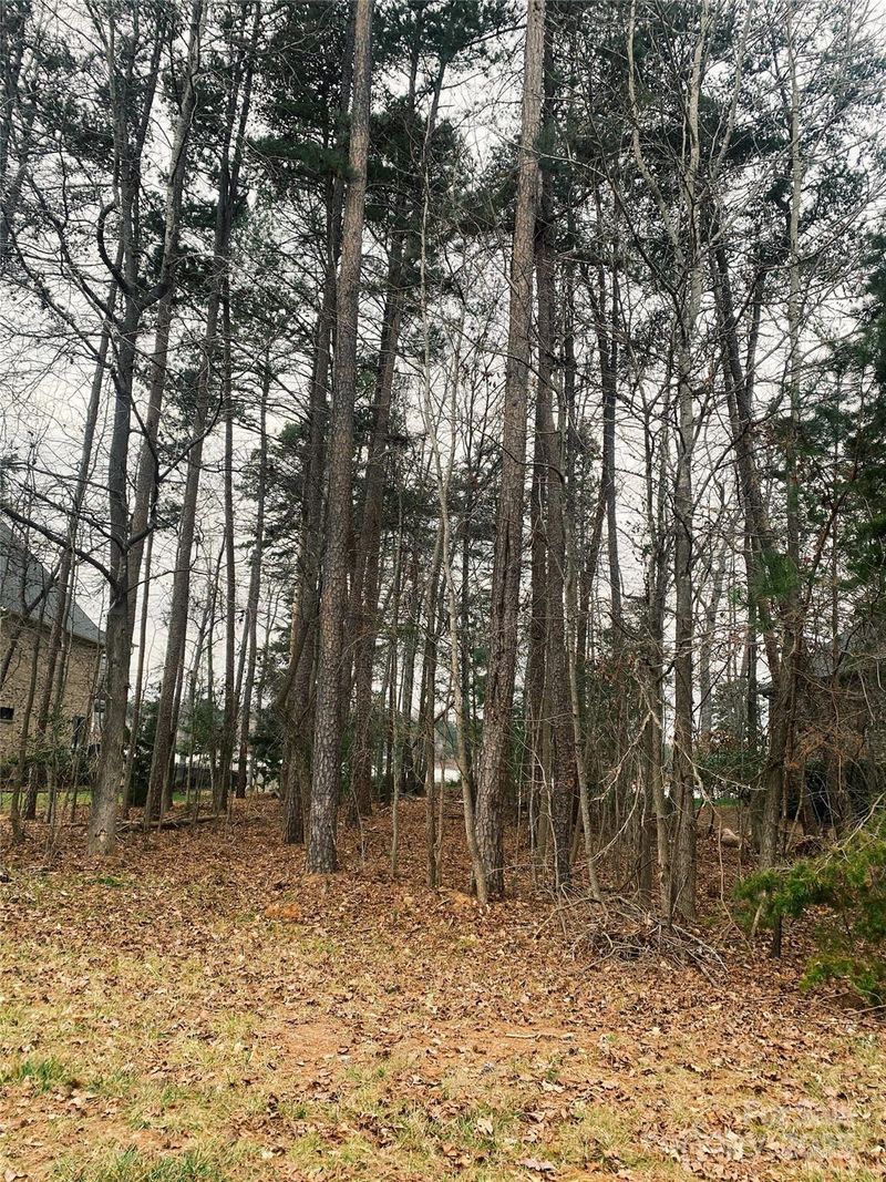 1538 Reflection Pointe Blvd, Belmont, NC 28012