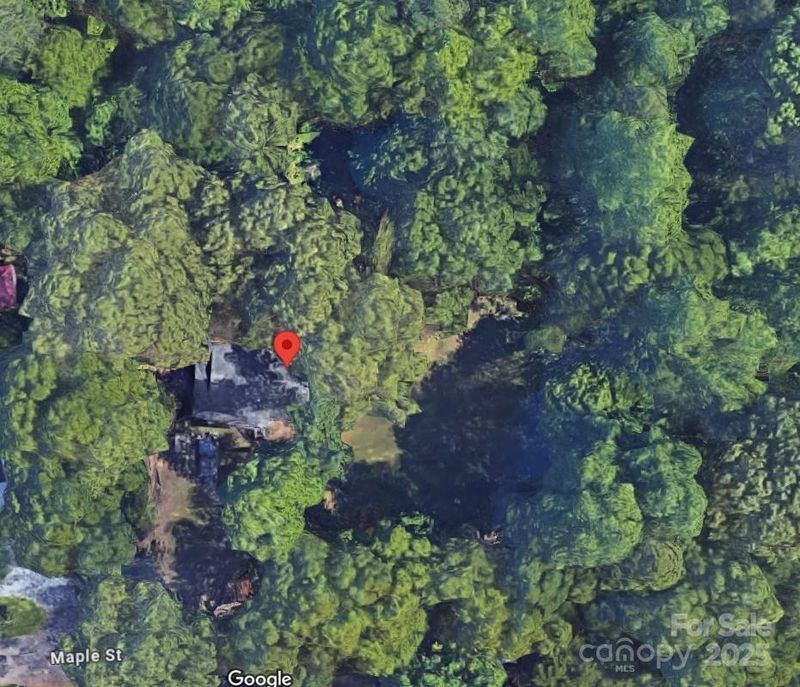 219 Maple St, Fort Mill, SC 29715