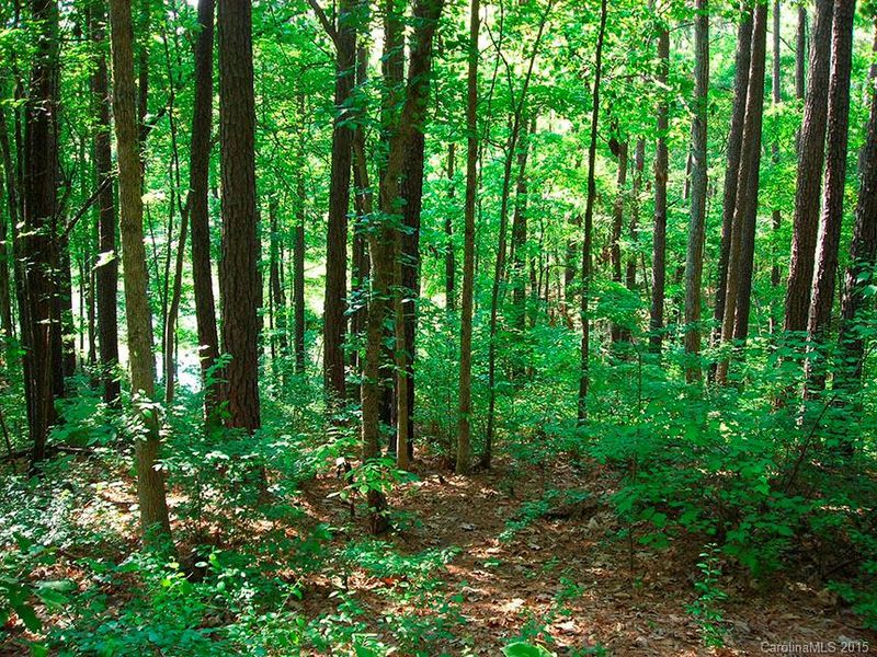 2056 Chameleon Rd, York, SC 29745