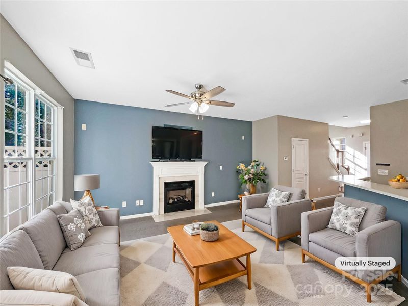 908 Coffee Tree Ln, Rock Hill, SC 29732
