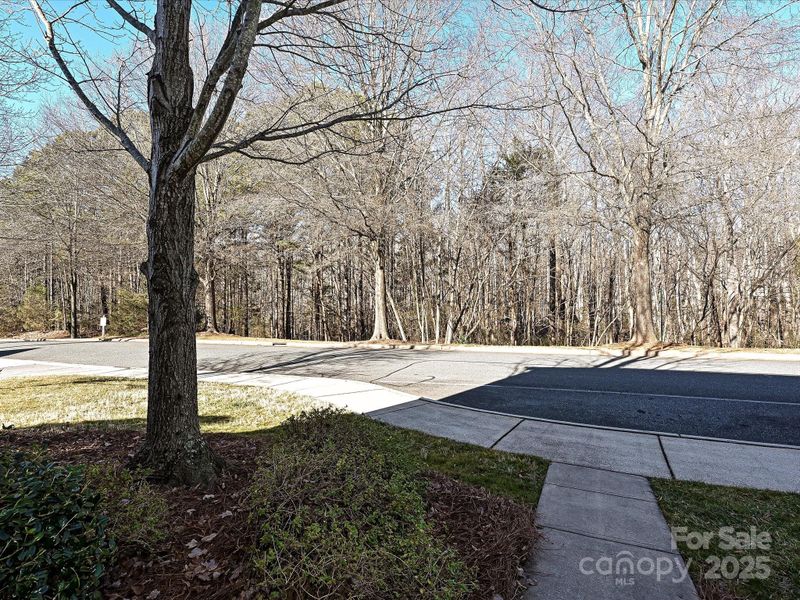 20120 Amy Lee Dr, Cornelius, NC 28031