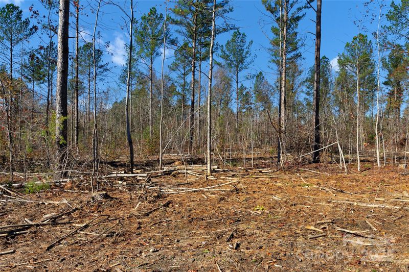 0000 Tom Joye Rd #5, Clover, SC 29710