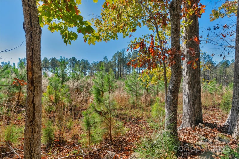 0000 Beaker Rd #5, Heath Springs, SC 29058