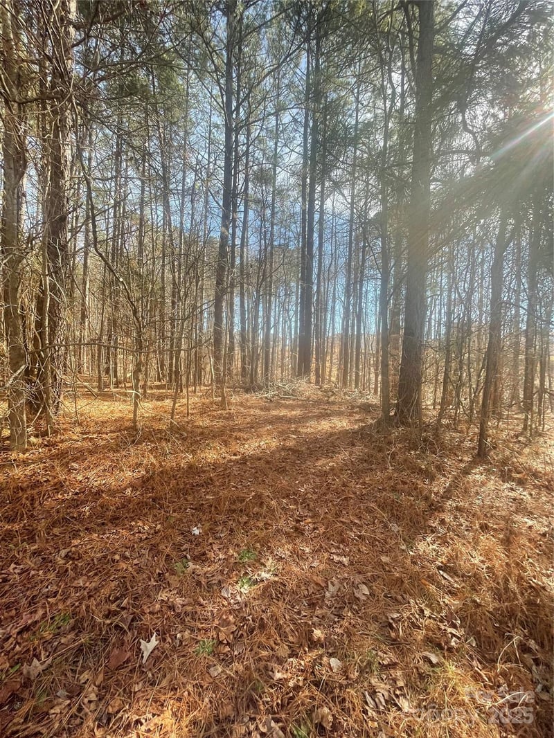 00 Rutan Ct, Mooresville, NC 28117