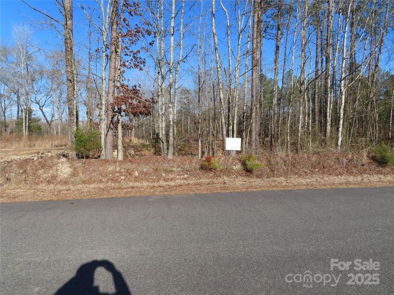 Lot 4 Winter Rd #4, Rock Hill, SC 29730
