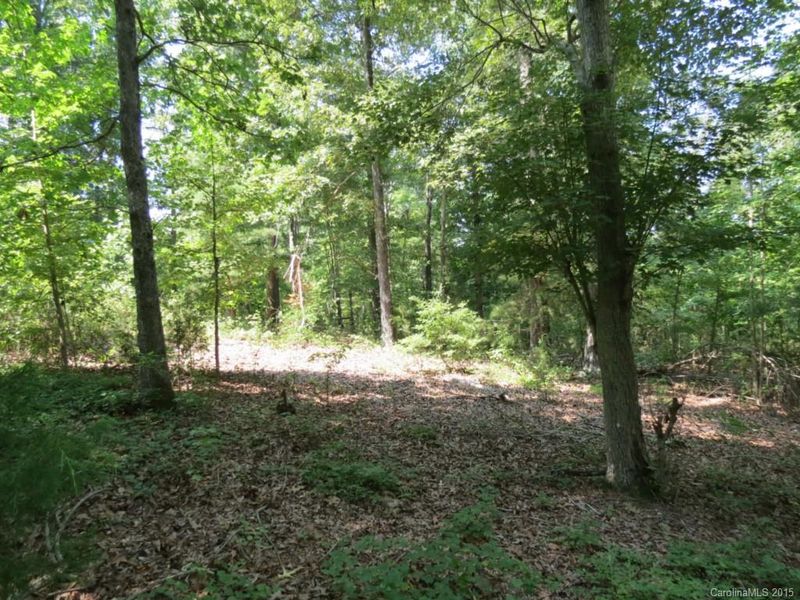 15.5 AC Lost Tree Ln, Sharon, SC 29742