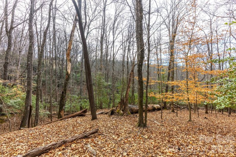 0 Aberdeen Ln, Pisgah Forest, NC 28768