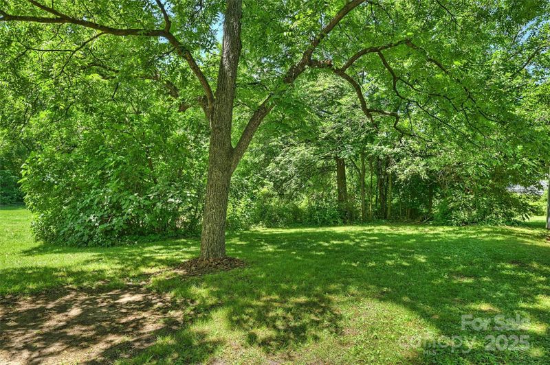 237 Mcneely Ave, Mooresville, NC 28115