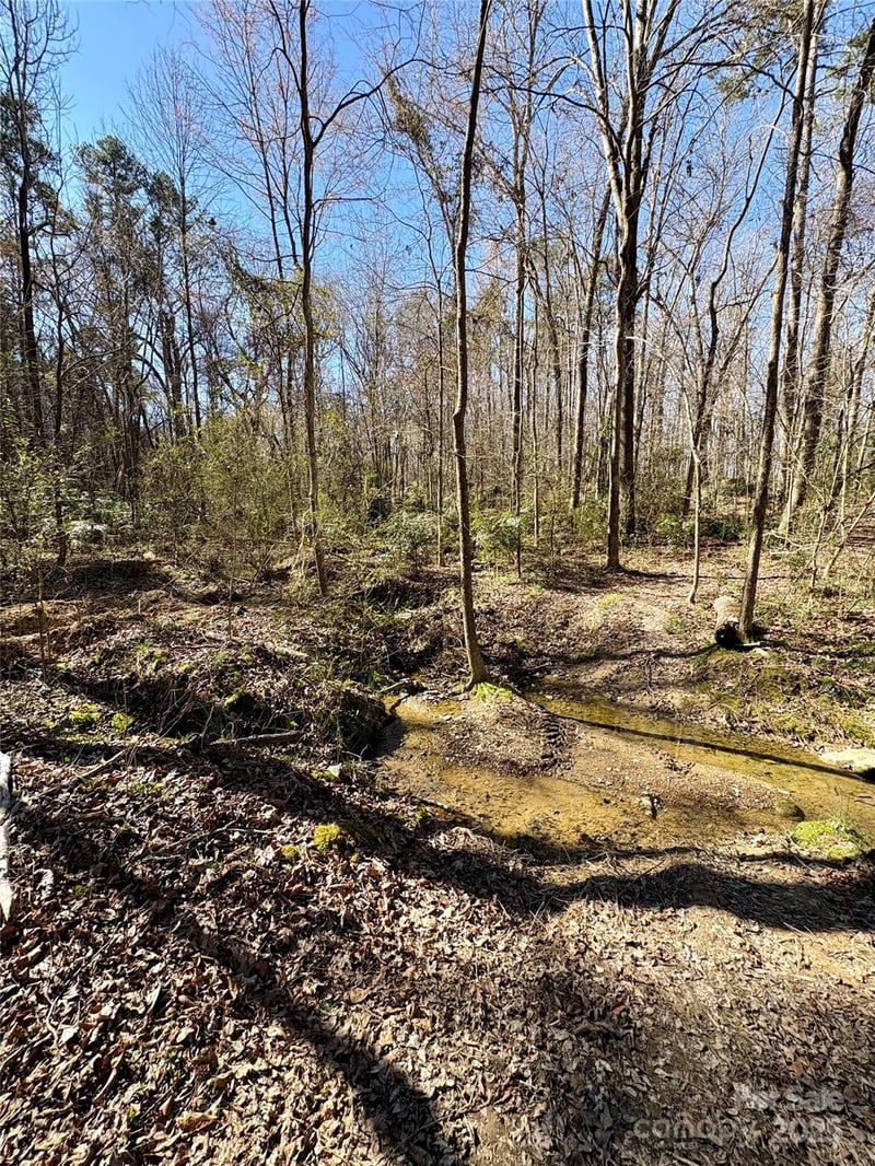 1417 Ellis Griffin Rd, Wingate, NC 28174