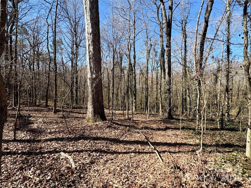 1417 Ellis Griffin Rd, Wingate, NC 28174