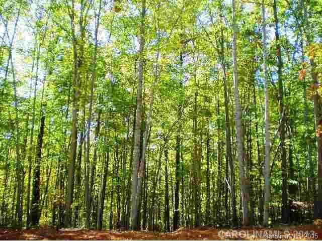 338 Squirrel Ln, Lake Wylie, SC 29710