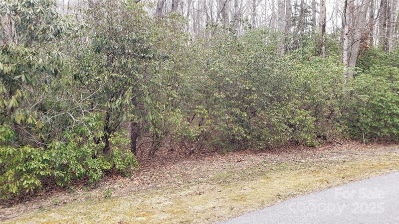 9999 Gagama Ct #16/19, Brevard, NC 28712