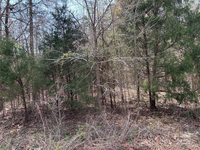 8800 Landsdowne Ave #59, Harrisburg, NC 28075