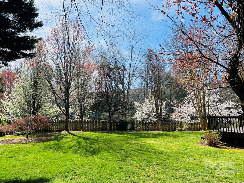 20313 Queensdale Dr, Cornelius, NC 28031