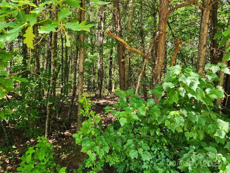 0 Patchwork Dr #1, Statesville, NC 28677