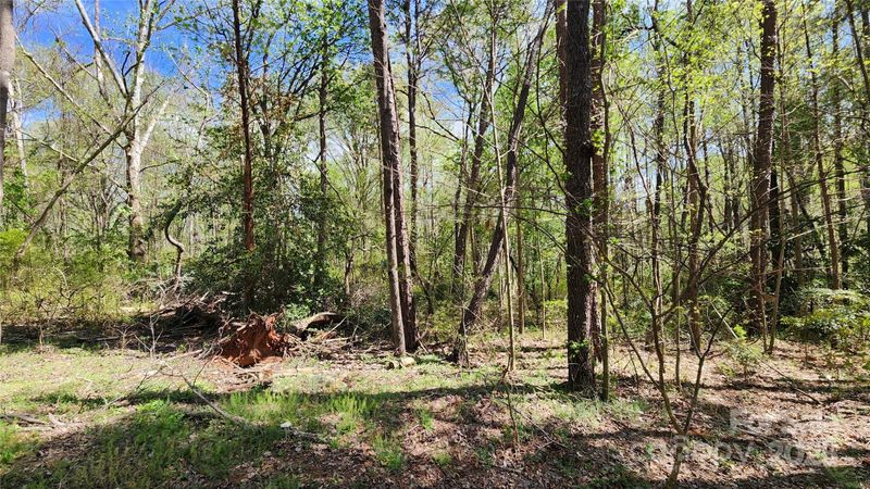 65 Cherry Ln, Newton, NC 28658