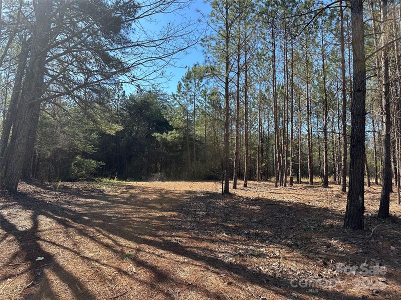 4265 East Maiden Rd, Maiden, NC 28650