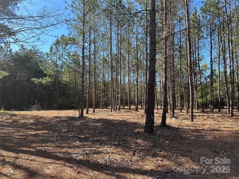 4265 East Maiden Rd, Maiden, NC 28650