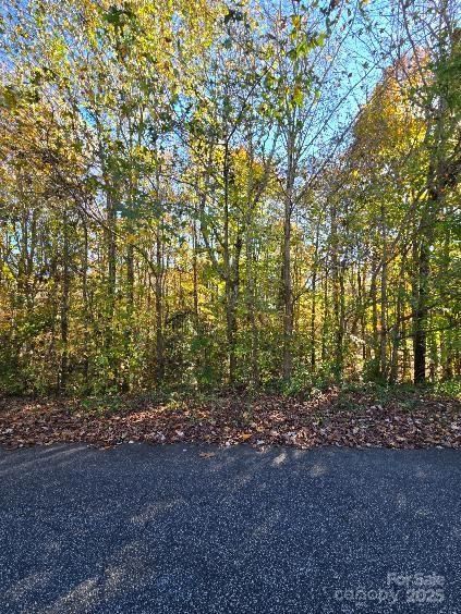 0 Brave Ave #98 & 97, Maiden, NC 28650