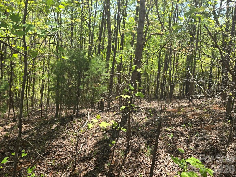 Lot 15 Touch Me Not Trl, Lake Lure, NC 28746